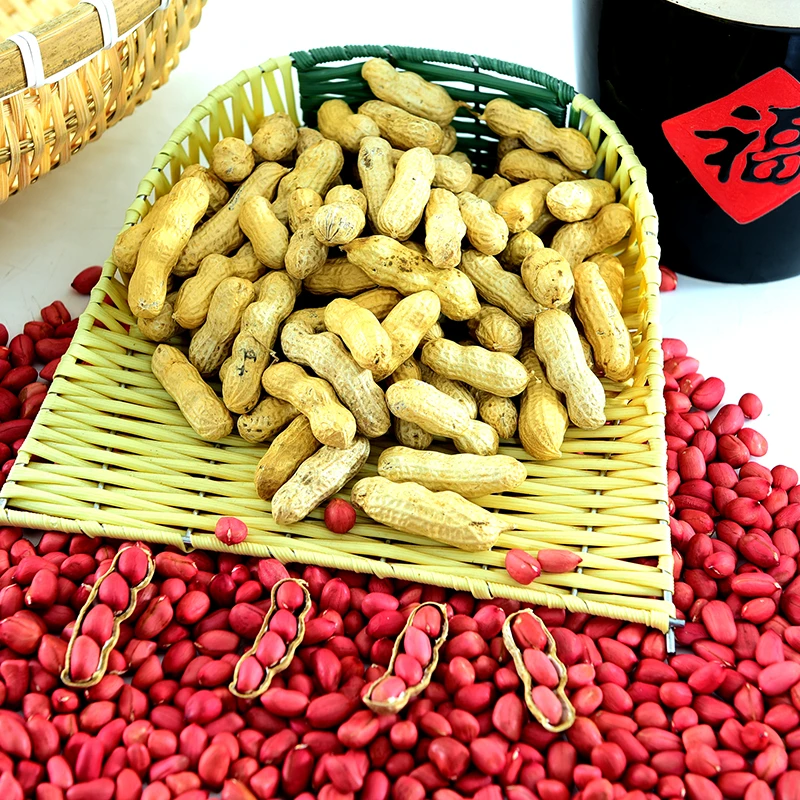 【红皮花生】2025年新货红皮花生带壳生花生红皮花生3斤5斤