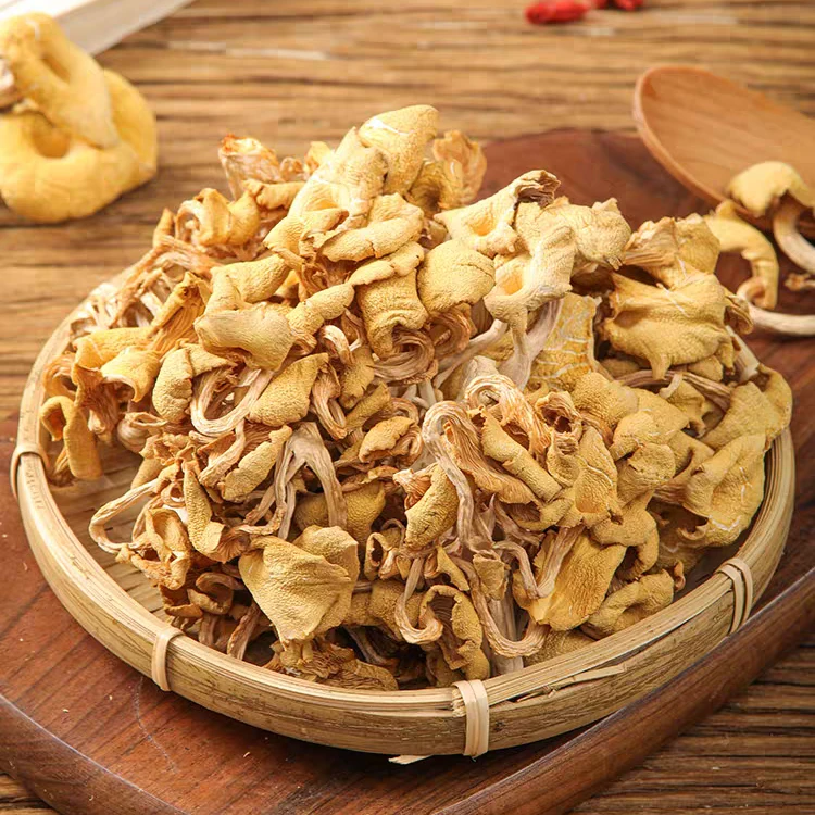 【鸡油菌】 月月推荐 云南特产