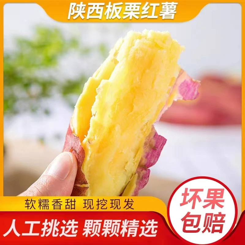 【球球专属】陕西虢王镇板栗红薯现挖现发5斤9斤装包邮  坏果包赔