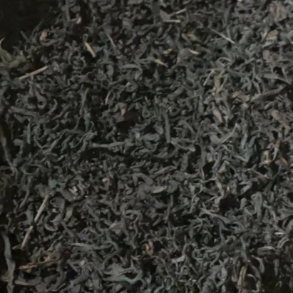 大渥茯2009年春季原料天尖2024年袋装（过称卖100克起