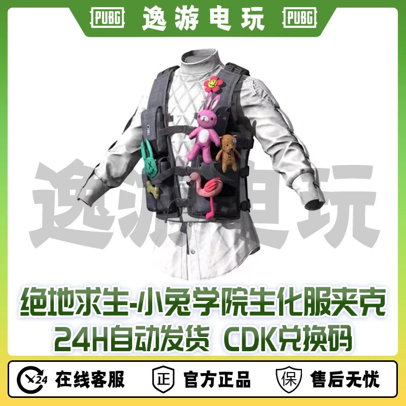 STEAM绝地求生PUBG小兔学院生化夹克绝地求生夹克CDK兑换码
