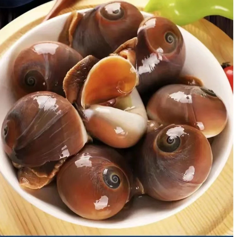 连云港海捕鲜活猫眼螺(包鲜不包活)2斤/3斤/4斤/5斤