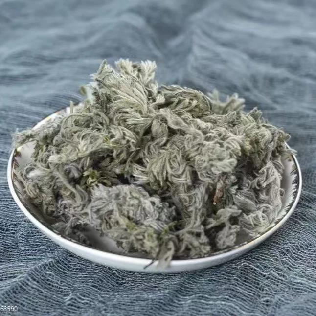 25年新上三月茵陈白蒿农家纯手工采摘