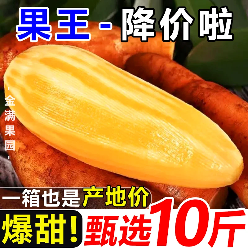 【现挖现发】正宗农家云南天山雪莲果10斤新鲜水果黄心红心整箱批发