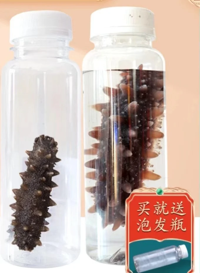 【国标】【特级】海参 试吃装两根