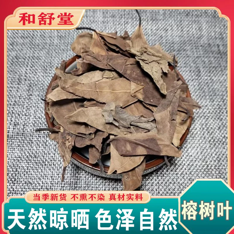 中药材精选正品榕树叶正宗小榕叶优质落地金钱新货干叶子榕树叶子