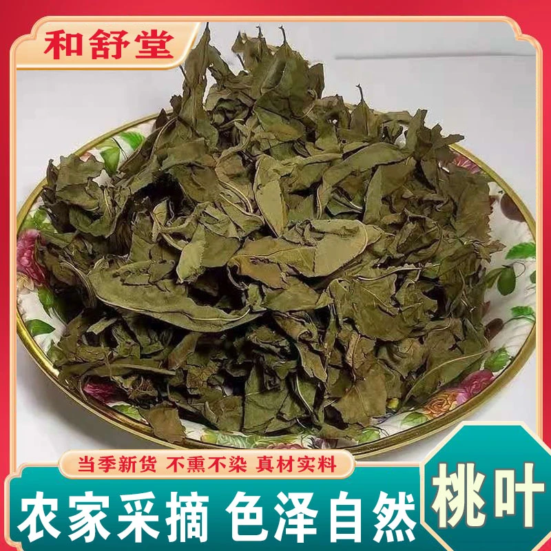 中药材精选正品桃叶正宗桃叶农家晾晒优质桃叶新货桃叶干净无杂