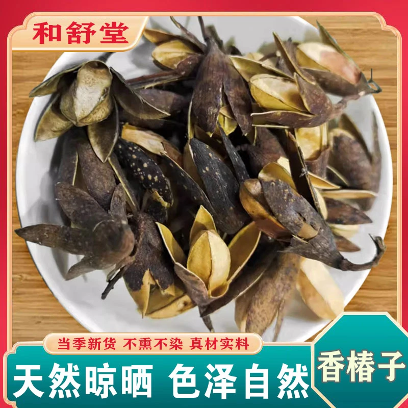 中药材精选正品香椿子新货香铃子野生香椿种子香椿果椿树子香椿籽