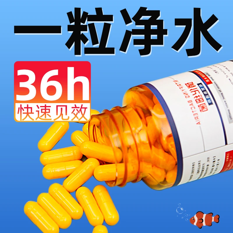 西洲曲硝化细菌鱼缸专用胶囊净水活菌干粉养鱼水族消化细菌浓缩型