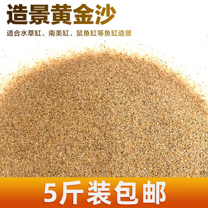 黄金沙南美三湖鼠鱼底沙天然细河沙水草砂化妆沙鱼缸草缸水陆造景