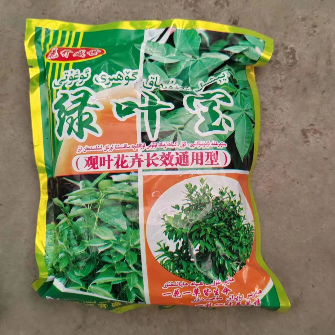 绿叶宝，观叶专用！新疆包邮！