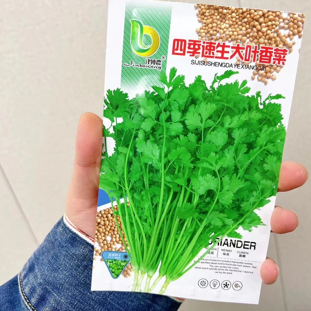 【四季可种】2包小香菜种子/非自行车头巾商家补贴