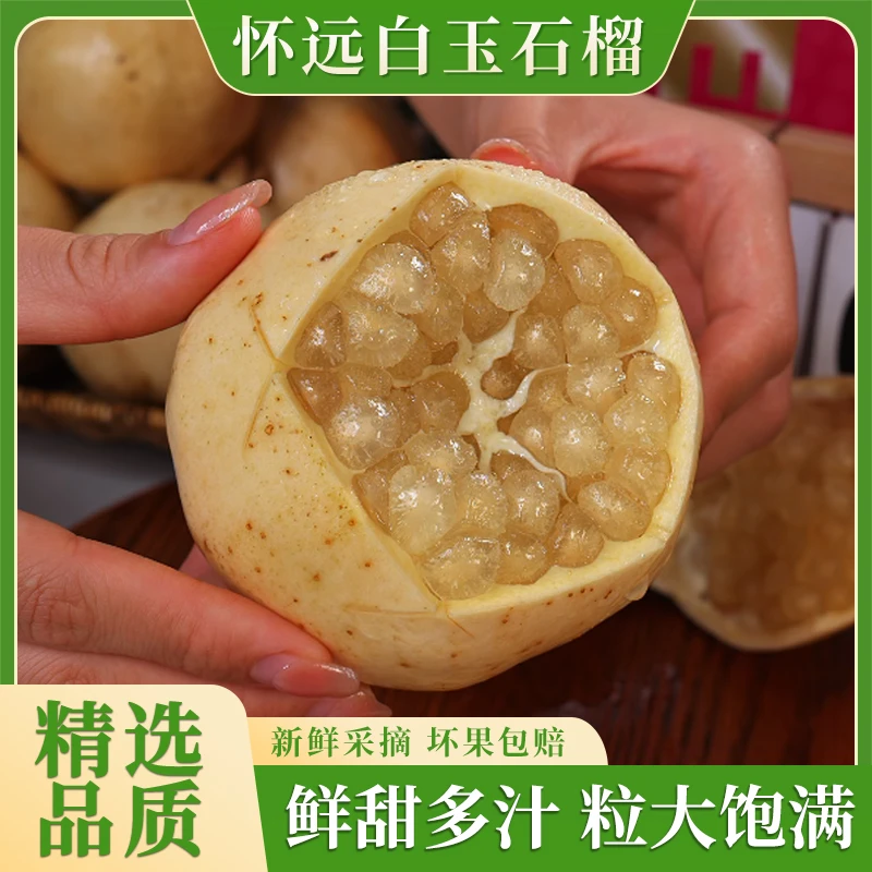 正宗怀远白玉石榴新鲜当季果园现摘石榴颗粒饱满多汁精选5斤起