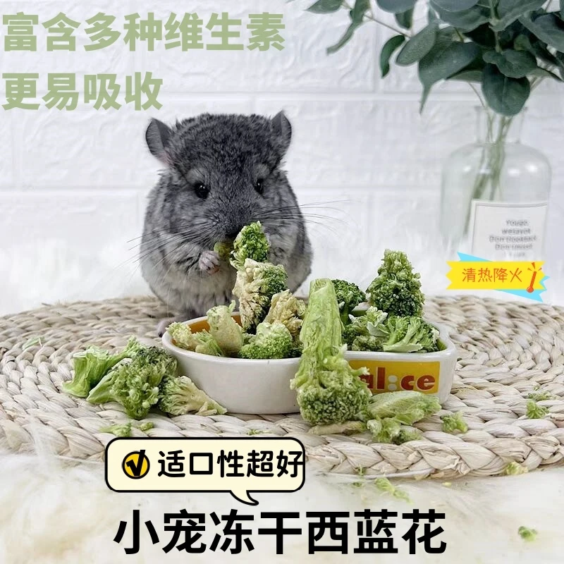 冻干西兰花仓鼠零食无糖蔬菜干金丝熊花枝兔子豚鼠龙猫补充维生素
