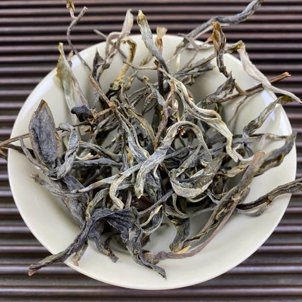 【昔归】2023年昔归古树春茶普洱茶生茶
