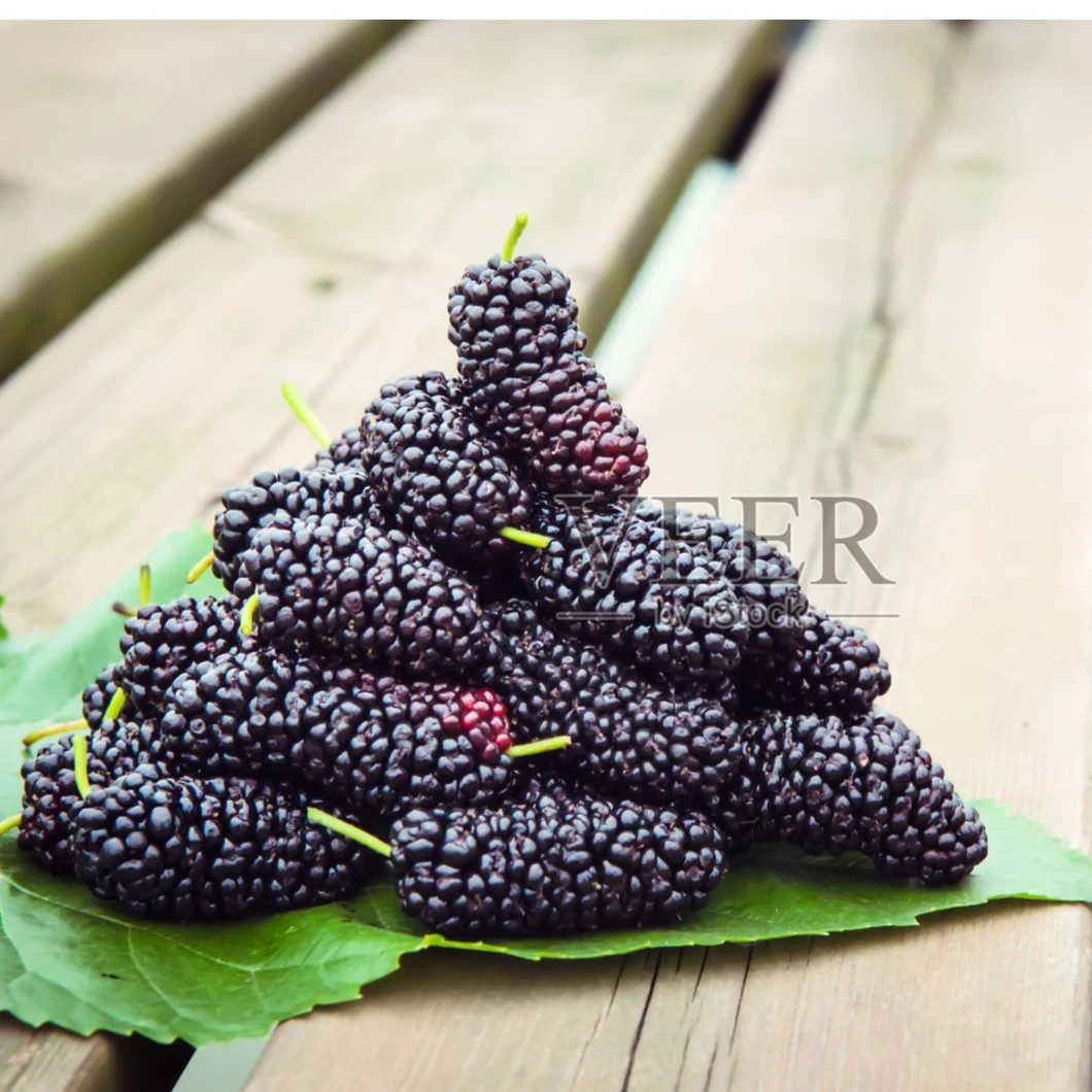 新鲜桑葚200g±10g/盒