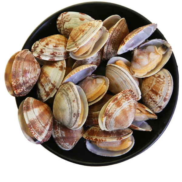 大花甲 500g/斤（60粒左右）