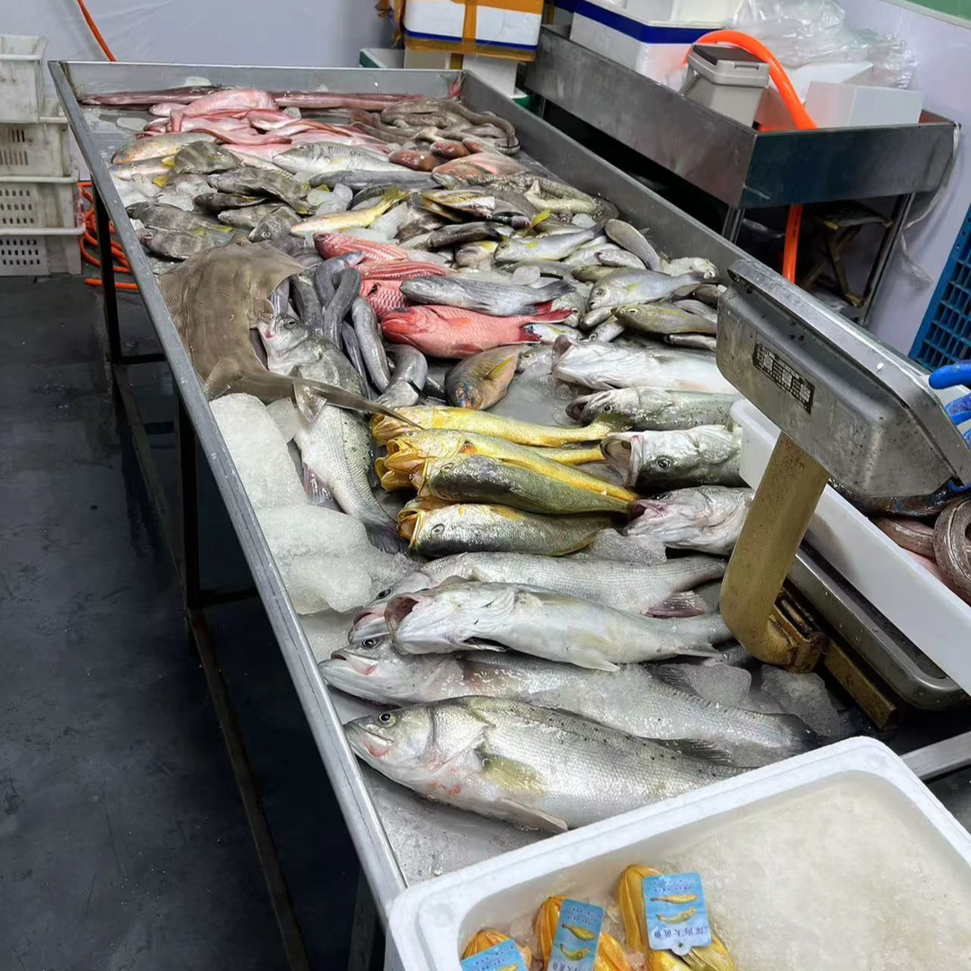 1深海野生海鱼 直播间称重链接G