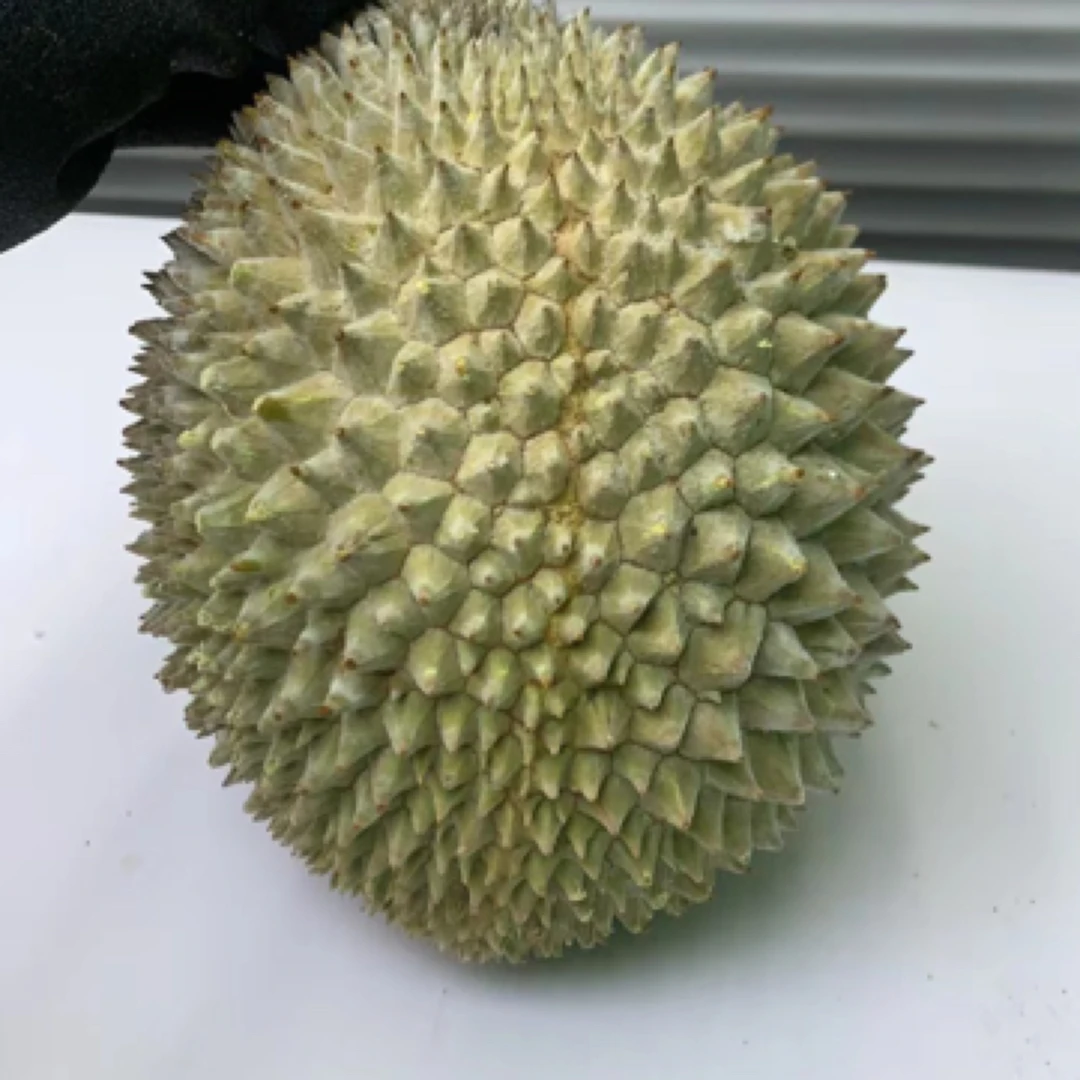 竹脚朱雀葫芦红虾榴莲猫山王红宝石组合液氮冷冻进口