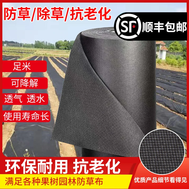 防草布果树地布单片打孔除草布耐用农用新型地膜果园生态无纺布钉