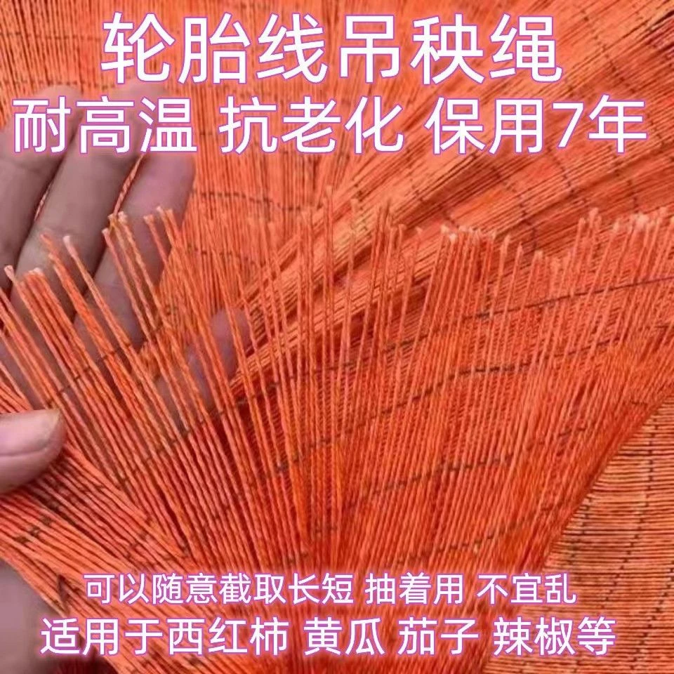 耐高温防老化吊秧绳大棚蔬菜吊绳西红柿黄瓜番茄吊线