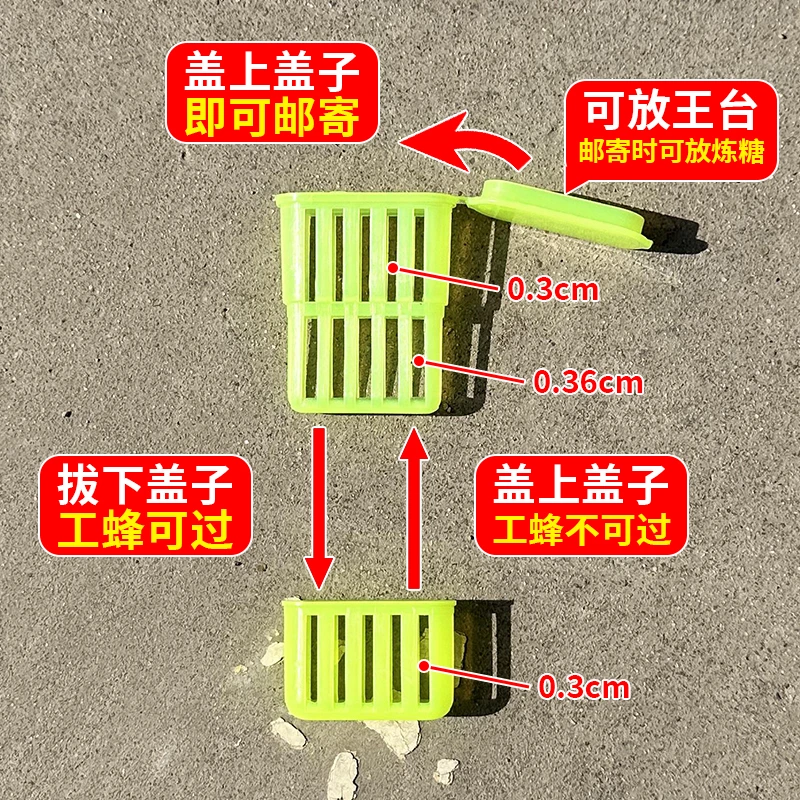 中蜂多功能囚王笼新款塑料王笼囚王介王储王神器邮寄蜂王神器专用