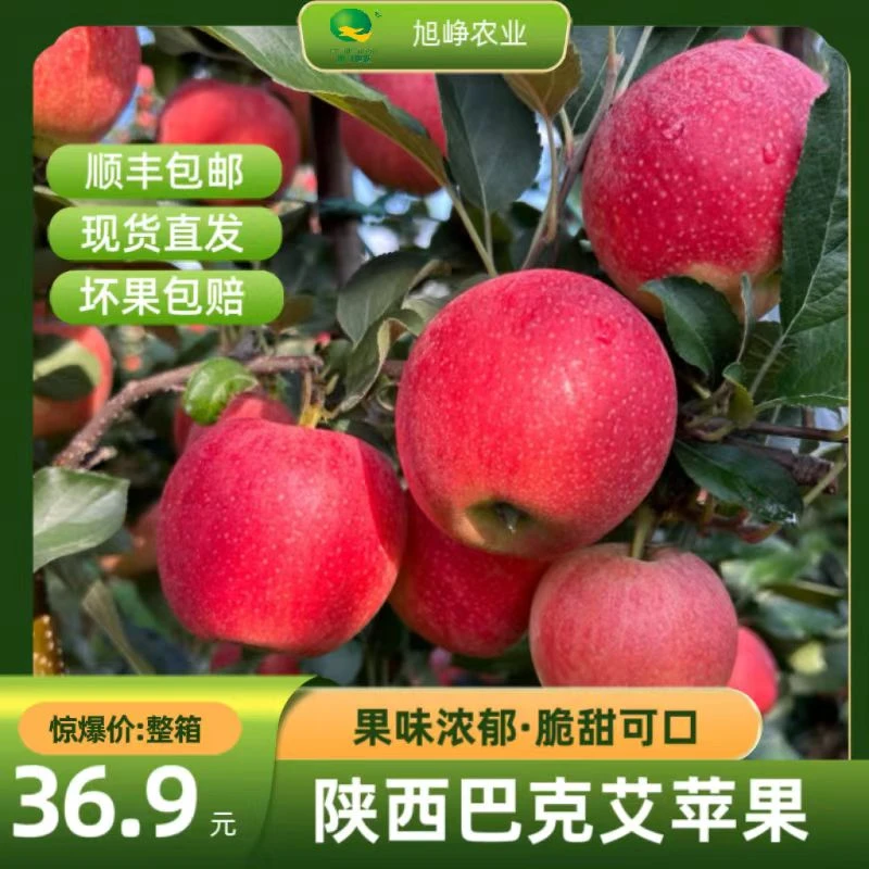 【粉面苹果】宝宝辅食巴克艾苹果粉面甜新鲜苹果3.5-8.5斤