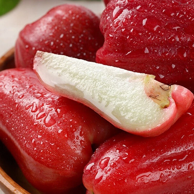 【顺丰包邮】饱满海南黑金刚莲雾新鲜度假水果莲雾果多汁香甜饱满