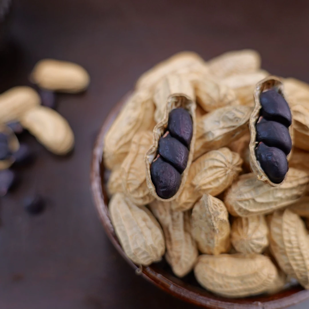 新货云南老品种黑花生晒干带壳生花生黑皮花生营养健康零食