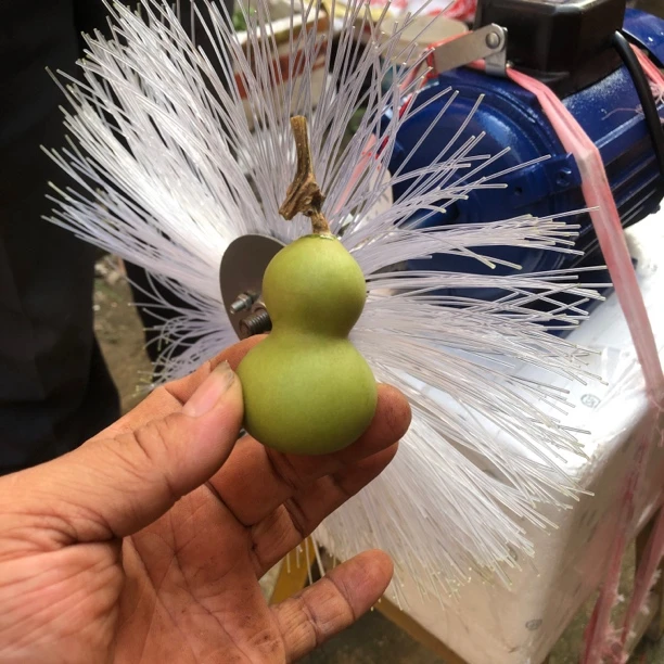 葫芦去皮刷打皮机小手念葫芦去皮刮皮大葫芦打皮尼龙刷