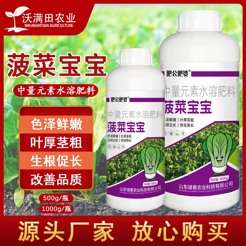 菠菜宝宝叶菜提苗壮根色泽鲜嫩叶厚茎粗增强口感防病抗旱增产肥