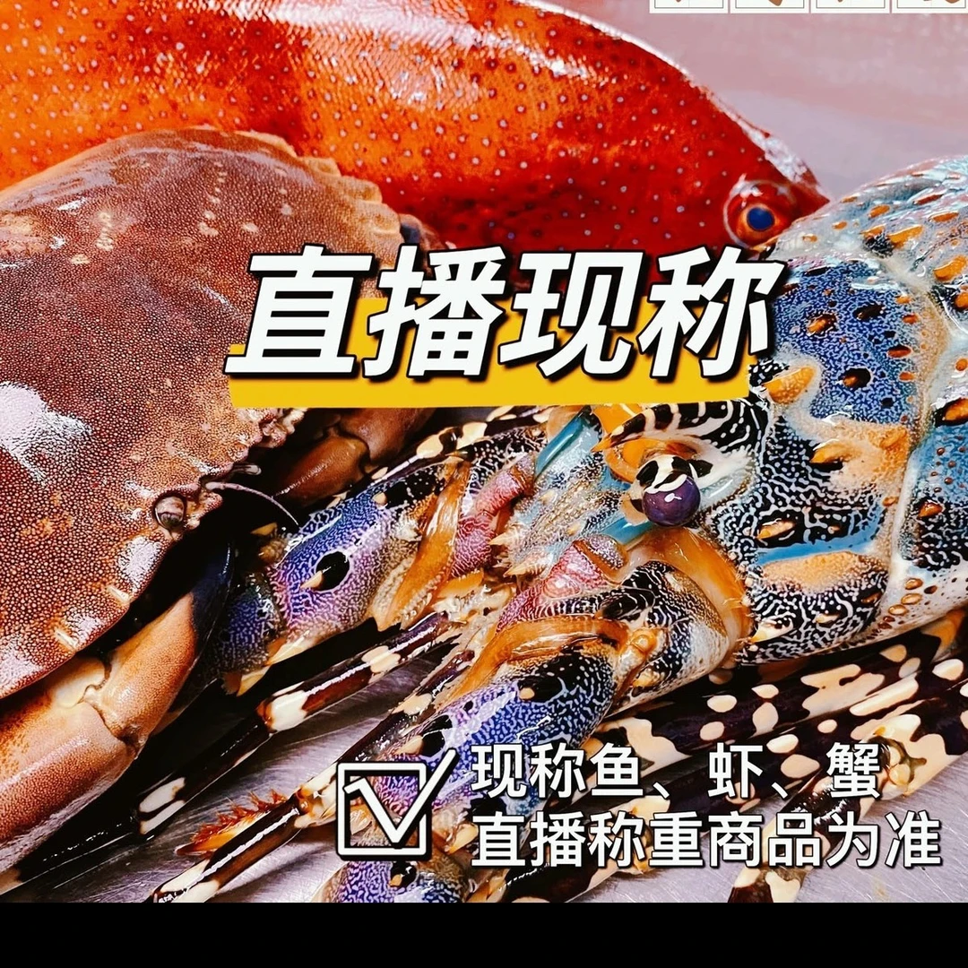 直播通用各种鲜活海鱼海虾大虾现称现拍（非质量问题不支持退换）