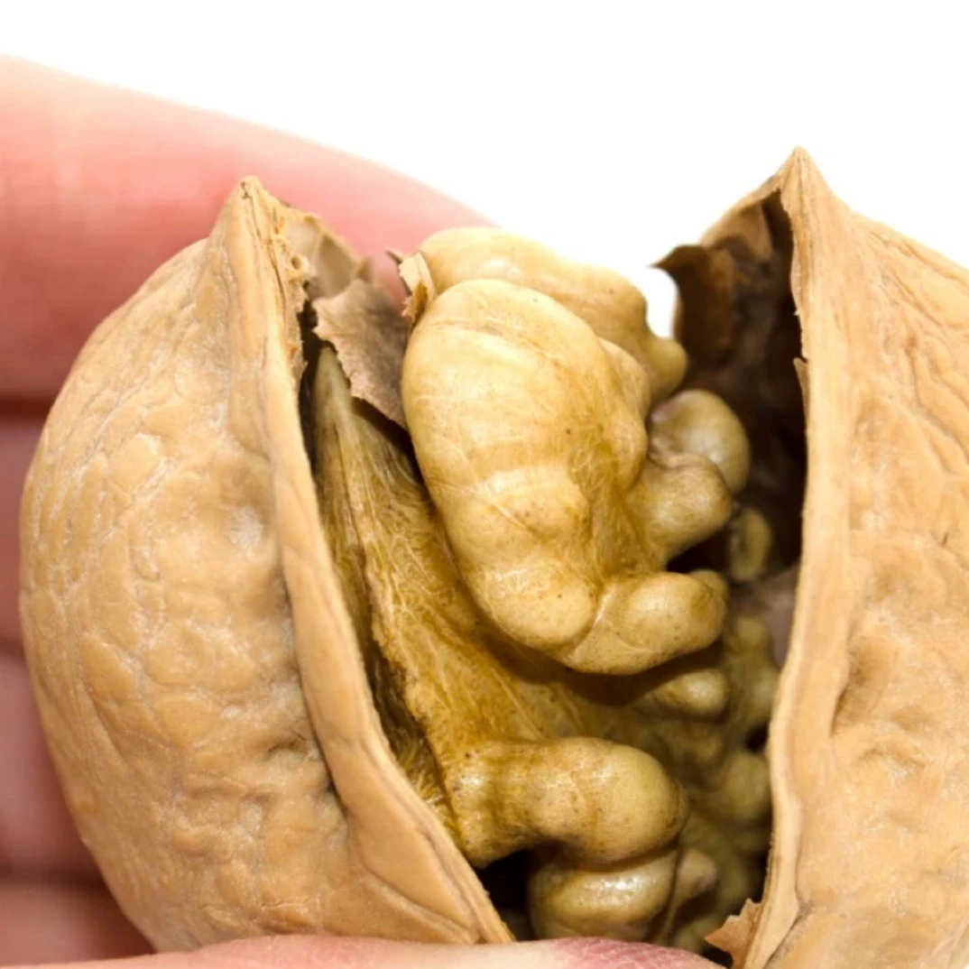【果然好】新疆纸皮核桃甄选核桃坚果壳薄易拨2.5斤装奶香四溢手捏