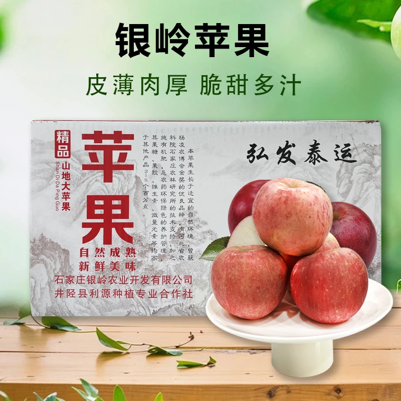 弘发泰运 精品山地大苹果10斤