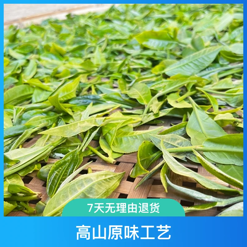 【2024古树白茶秋月光白】云南高山古树白茶散茶