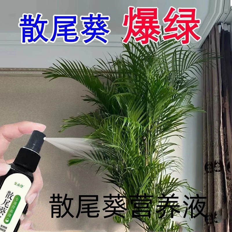 散尾葵营养液浓缩专用家用花肥盆栽有机肥增绿生根治黄叶黑斑烂根