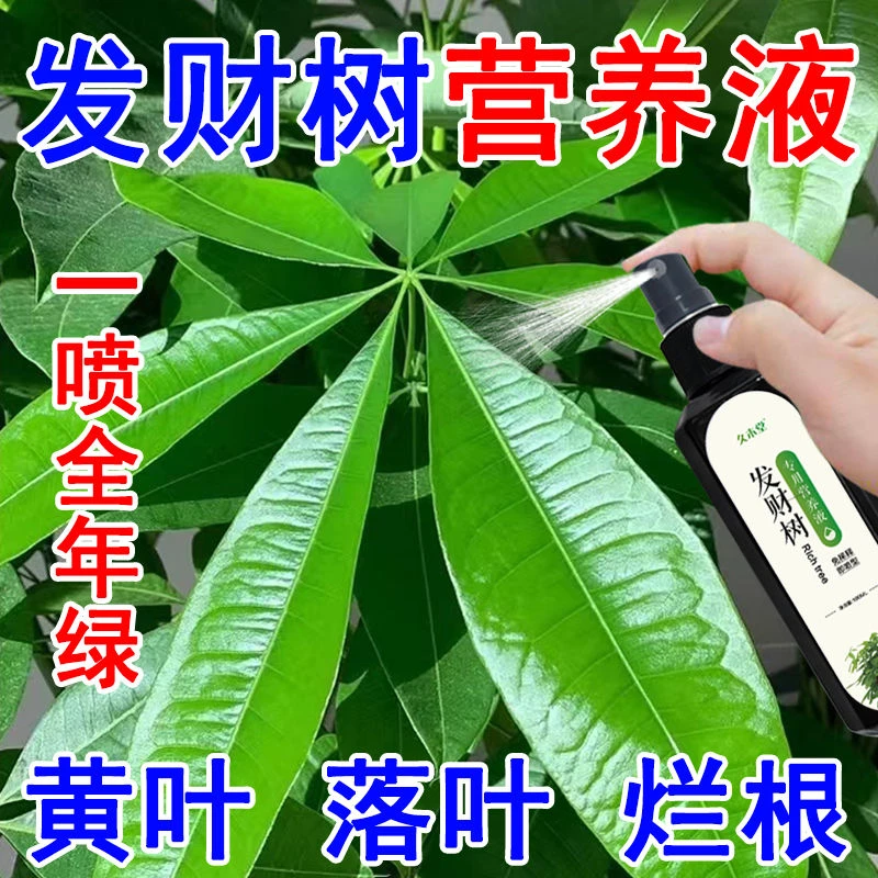 【花卉就长】发财树营养液壮苗防烂根防黄叶通用型免稀释液体肥
