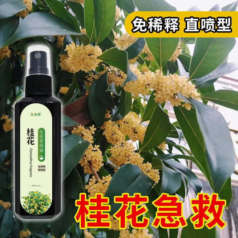 一喷绿桂花专用营养液高效花肥专治黄叶焦叶干枯催花促生长免稀释