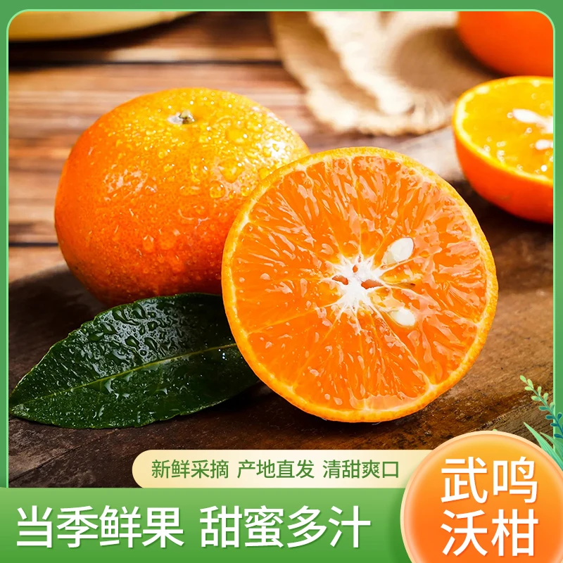 正宗广西武鸣沃柑皮薄新鲜水果现摘现发香甜多汁成熟采摘