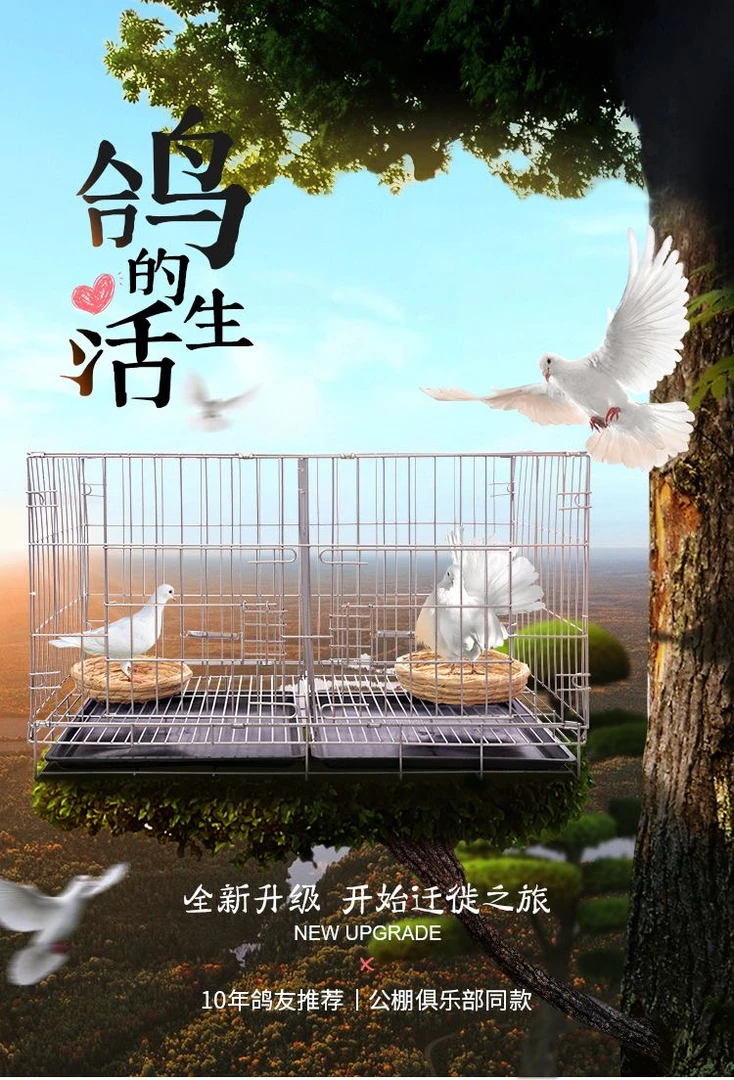 鸽子笼家用带隔断配对繁殖笼大号鸽舍鸽子巢箱训放笼兔笼鸡笼折叠