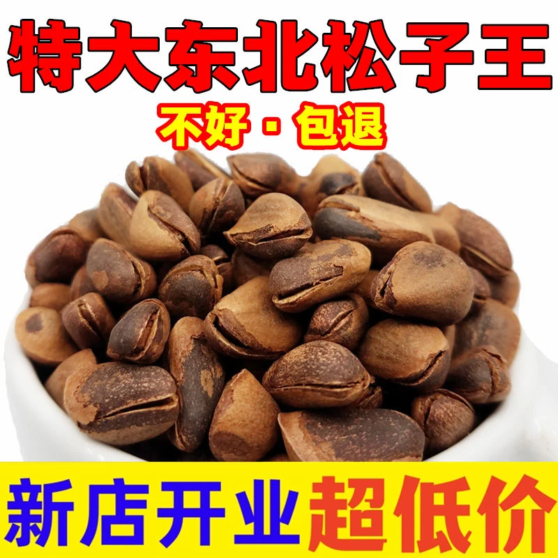 伊村森宝2023年新货东北开口松子特产红松孕妇特大野生原味坚果
