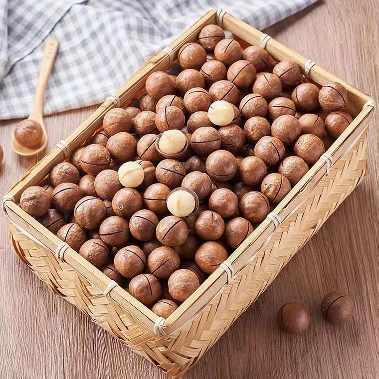 精选2023新货夏威夷果奶香味大颗粒酥脆头部源头厂家直供即食大果