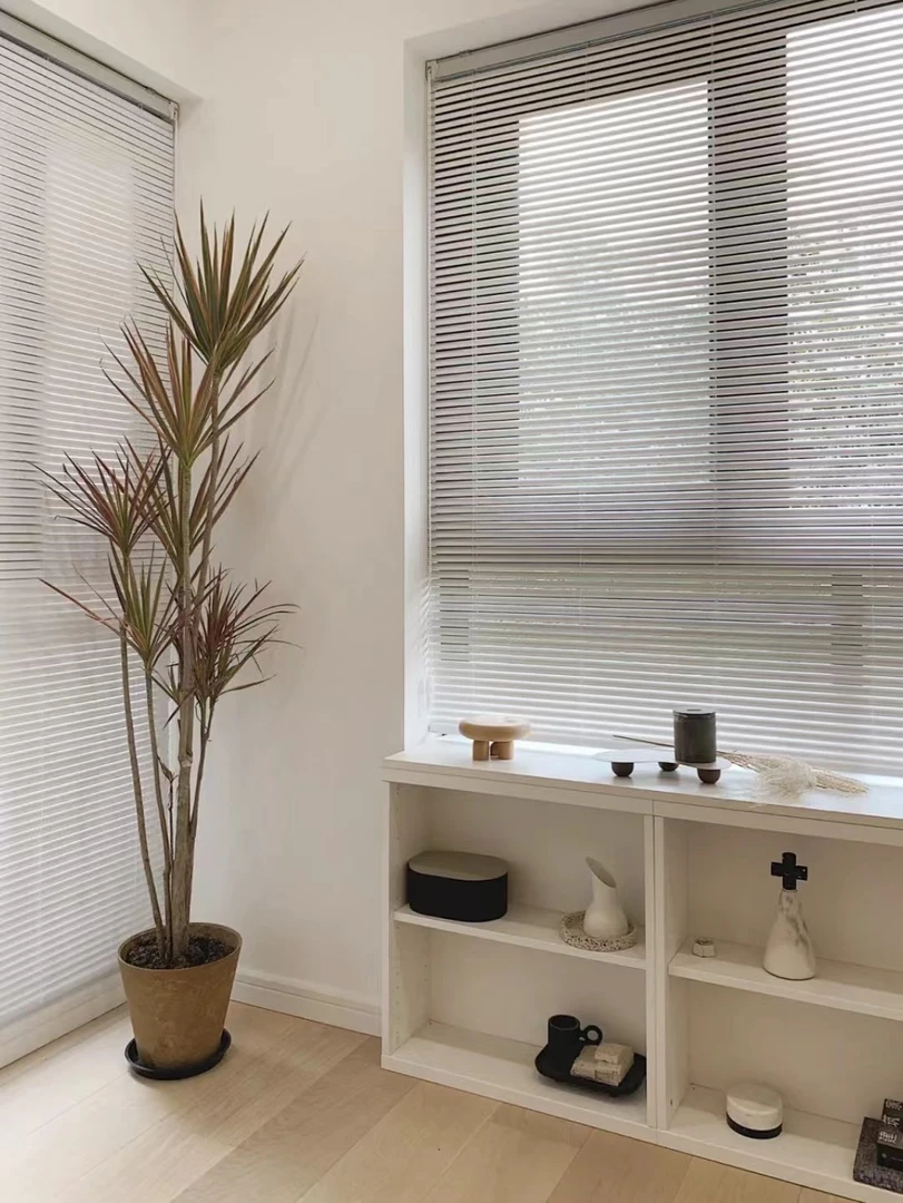 （千年木）红叶七彩铁造型盆栽室内北欧大绿植简约inss风简约风大型