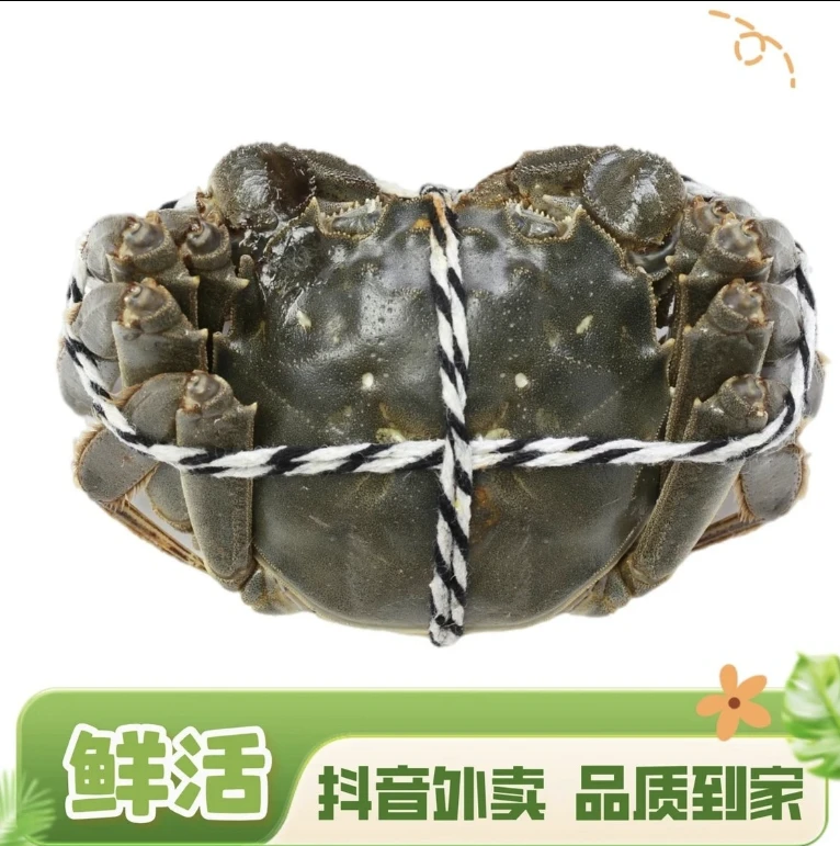 鲜活大闸蟹(母)2两(100g±10g)