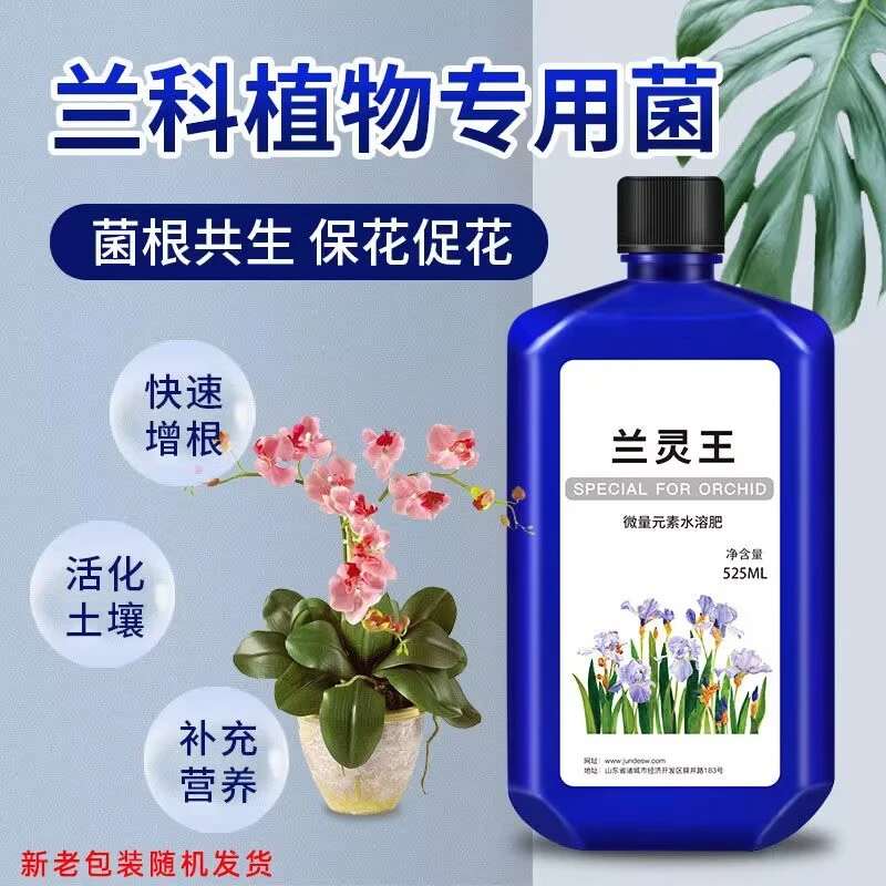 兰灵王兰花专用营养液肥料蝴蝶兰君子兰菌王兰陵王兰科促花活化剂