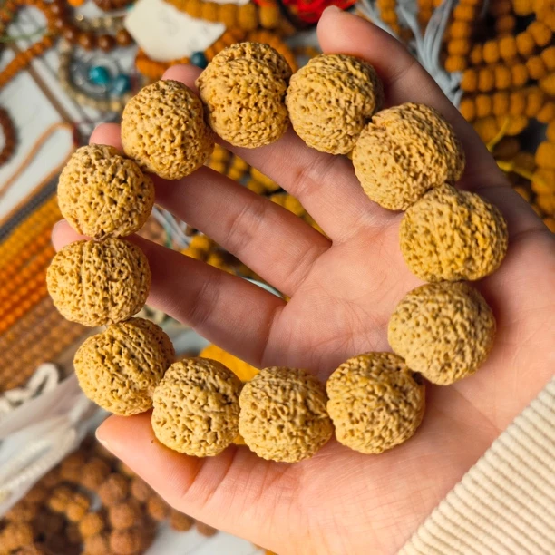 尼泊尔大金刚菠萝蜜大尺寸2.2大金刚