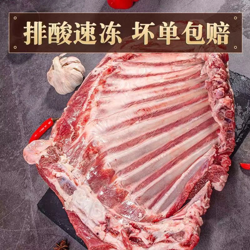 3斤羊排内蒙古散养6-8个月羔羊新鲜肉质美味精选大草原冷链发货