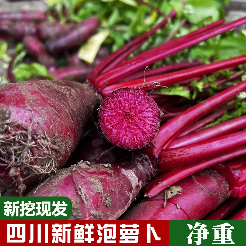 咗酱爷四川新鲜红皮红心萝卜胭脂萝卜3/5斤
