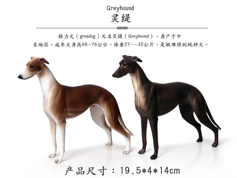 细狗模型格力犬灵缇犬惠比特斗牛犬金毛犬藏獒牧羊犬柯基德牧