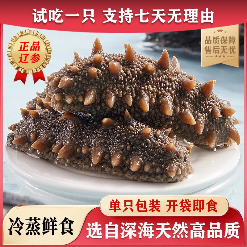 【双11抢鲜购】鲜食辽参 买2斤送2斤 深海底播海参 口感Q弹劲道